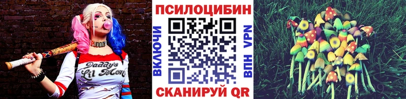 Галлюциногенные грибы MAGIC MUSHROOMS  Красновишерск 